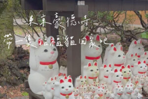 豪德寺